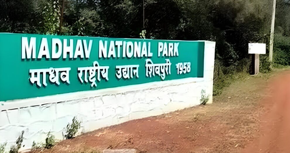 Madhav National Park, in Madhya Pradesh's Shivpuri district, has been formally recognised as India's 58th Tiger Reserve. This milestone highlights India's continuous commitment to wildlife conservation and tiger habitat expansion.