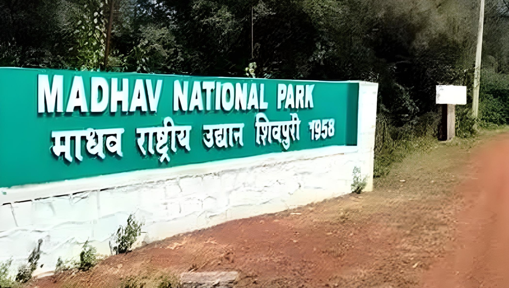 Madhav National Park, in Madhya Pradesh's Shivpuri district, has been formally recognised as India's 58th Tiger Reserve. This milestone highlights India's continuous commitment to wildlife conservation and tiger habitat expansion.