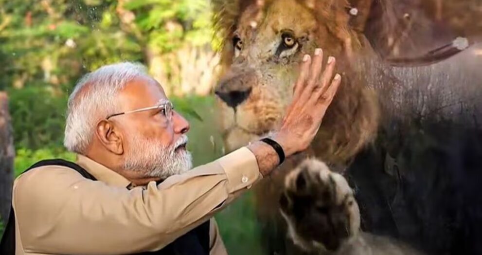 An Indian defence committee has proposed integrating the private sector in military aircraft production to improve the capabilities of the Indian Air Force (IAF).