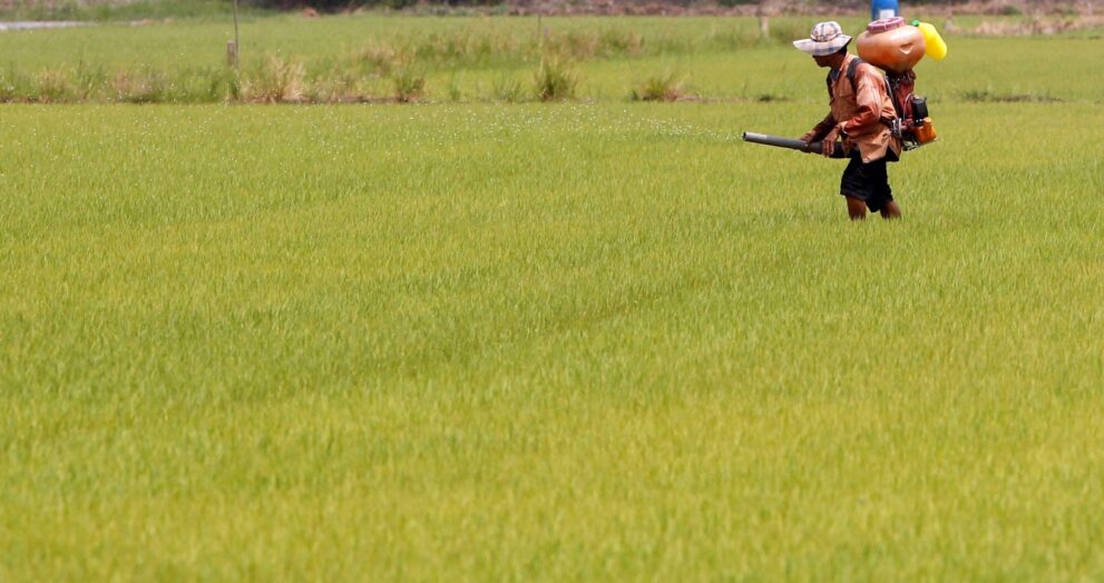 Pantai Hospital Kuala Lumpur (PHKL) and IMU University have signed a five-year Memorandum of Understanding (MoU) to support Malaysia's medical research ecosystem.