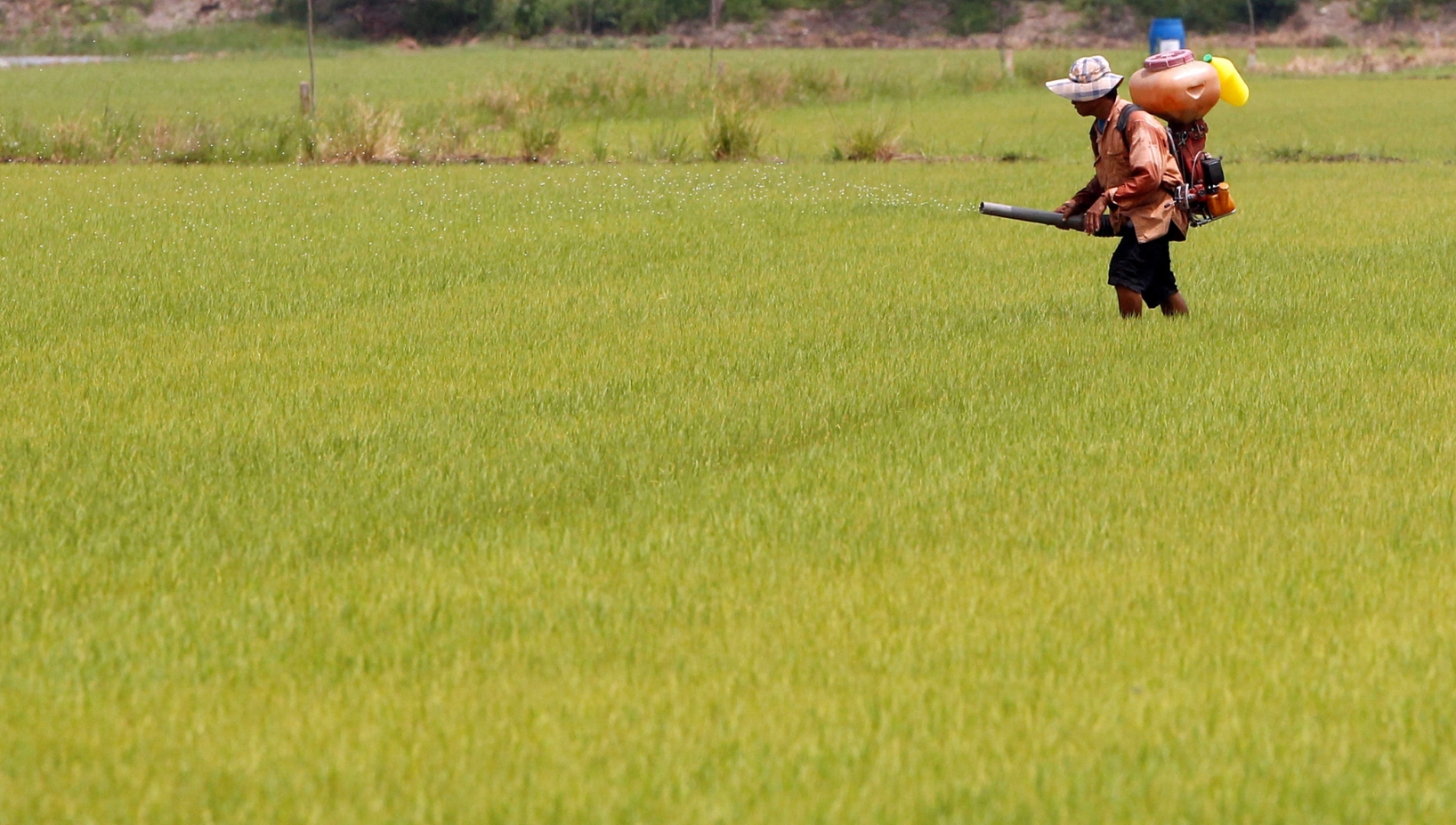 Pantai Hospital Kuala Lumpur (PHKL) and IMU University have signed a five-year Memorandum of Understanding (MoU) to support Malaysia's medical research ecosystem.