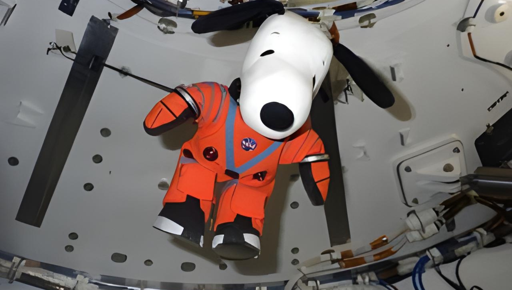 NASA is seeking designers from around the world to create a special zero-gravity indicator that will travel with astronauts on the Artemis II mission.