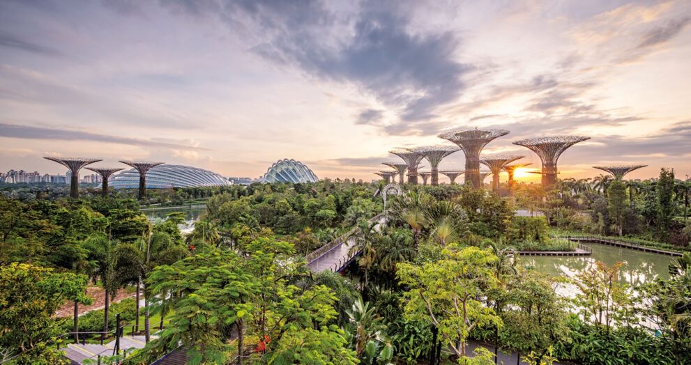 Singapore is working to conserve its green spaces as urban growth advances across its 730-square-kilometre island. While 16% of the city-state is covered in rainforest, much of its primary forest has been lost since the 1800s, putting biodiversity at risk.