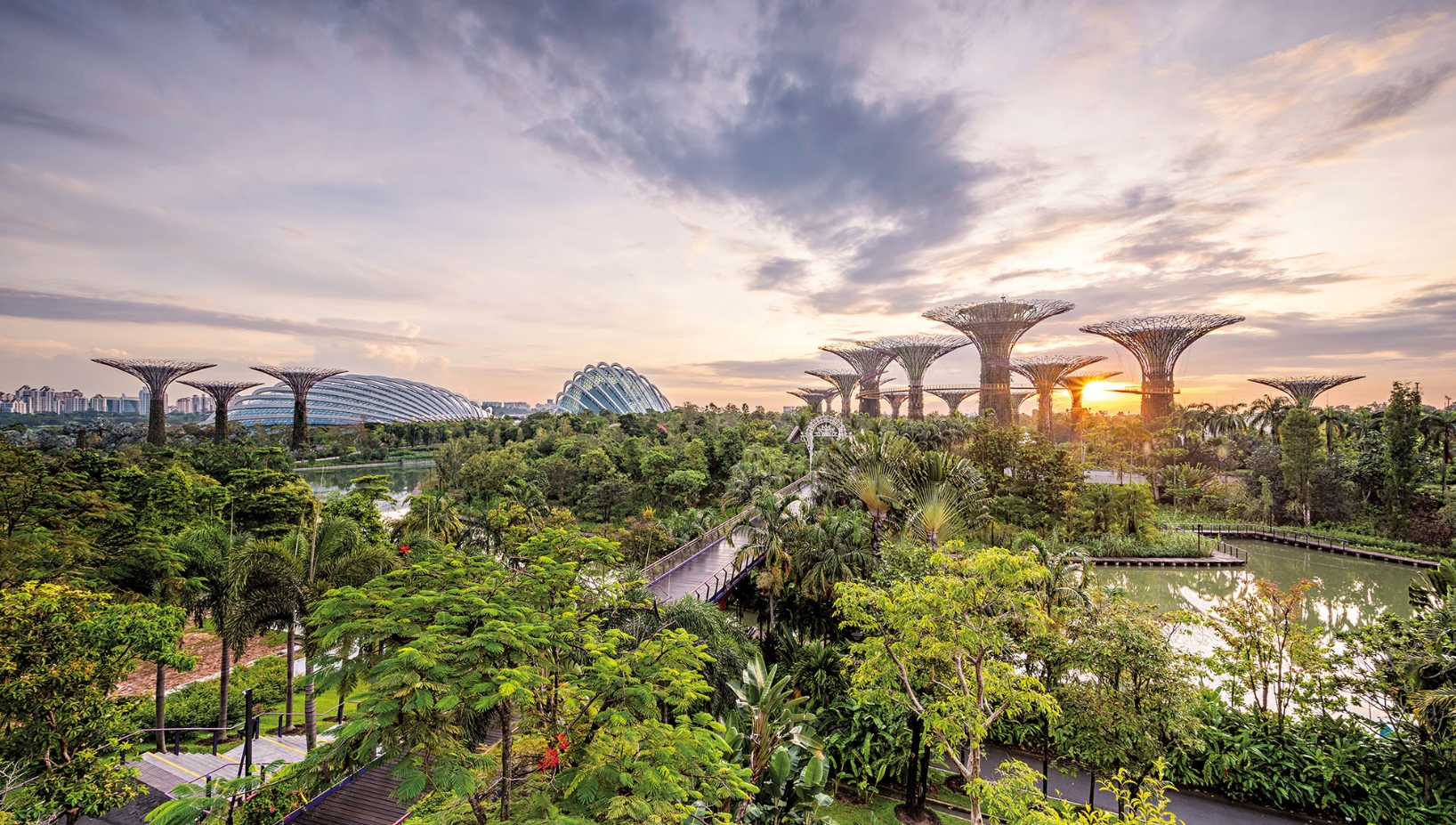 Singapore is working to conserve its green spaces as urban growth advances across its 730-square-kilometre island. While 16% of the city-state is covered in rainforest, much of its primary forest has been lost since the 1800s, putting biodiversity at risk.