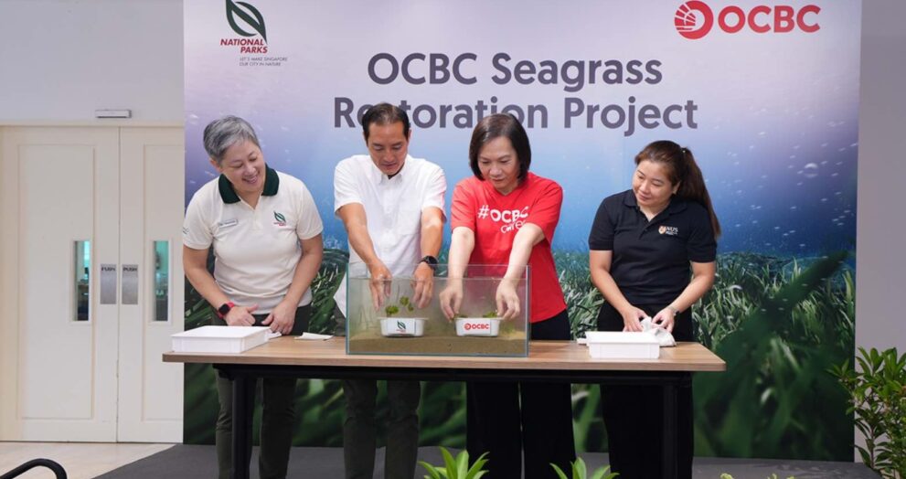 Singapore has officially launched its first seagrass restoration project, aiming to conserve coastal habitats and enhance marine biodiversity.