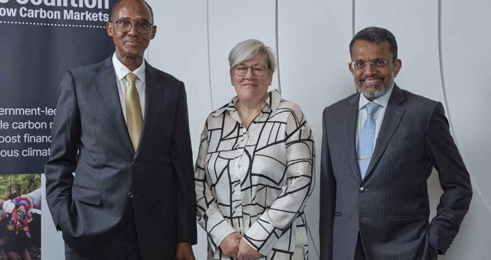 Singapore, the United Kingdom, and Kenya's governments have formed the Coalition to Grow Carbon Markets to revive confidence in the voluntary carbon market.
