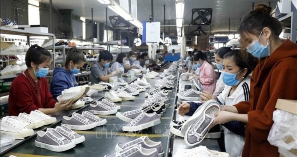 According to the National Statistics Office, Vietnam's leather and footwear sector increased its exports by more than 10% in the first half of 2025.