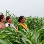 Dubai Reaches 1,270 EV Charging Points, Reinforces Green Transport Goals