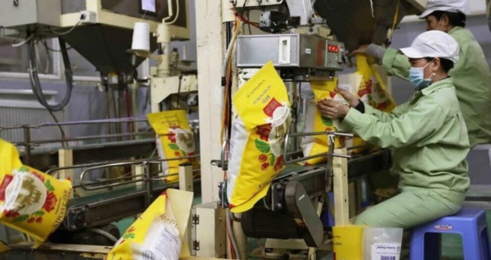 Vietnam will surpass Thailand to become the world's second-largest rice exporter in 2025, highlighting the country's growing position in global food supply.