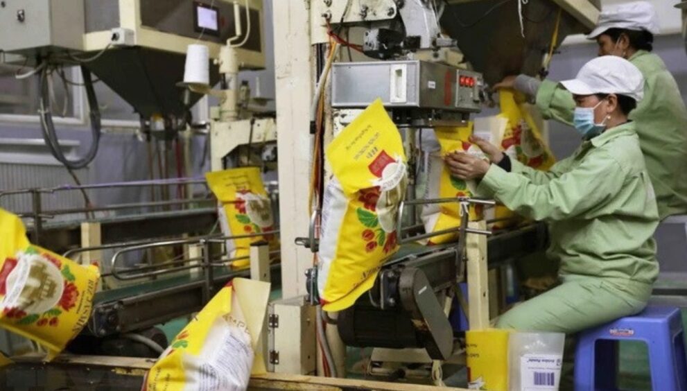 Vietnam will surpass Thailand to become the world's second-largest rice exporter in 2025, highlighting the country's growing position in global food supply.