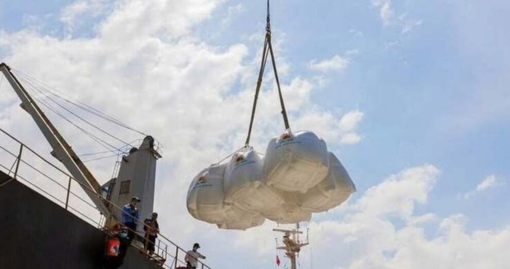 Vietnam surpassed Thailand to become the world's second-largest rice exporter in the first half of 2025. India remained the leading exporter, with 11.68 million metric tonnes, up 36.5% year on year.