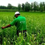 Jaishankar, Wadephul discuss EU ties, scientific collaboration and counter- terrorism efforts