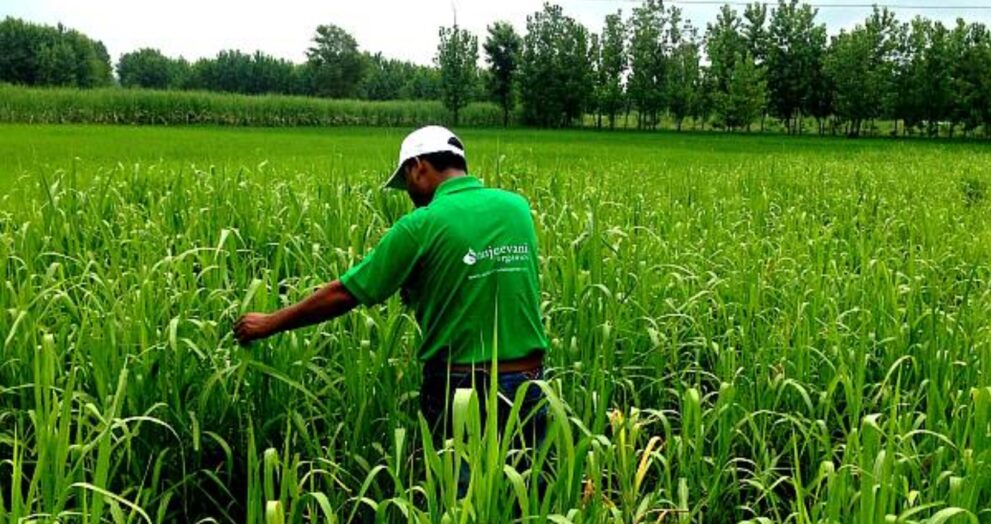 Dehradun has launched Climate-Smart Agriculture (CSA) training programmes as part of the IFAD-supported Gramotthan Project (REAP), intending to provide farmers with the skills they need to address the effects of climate change.