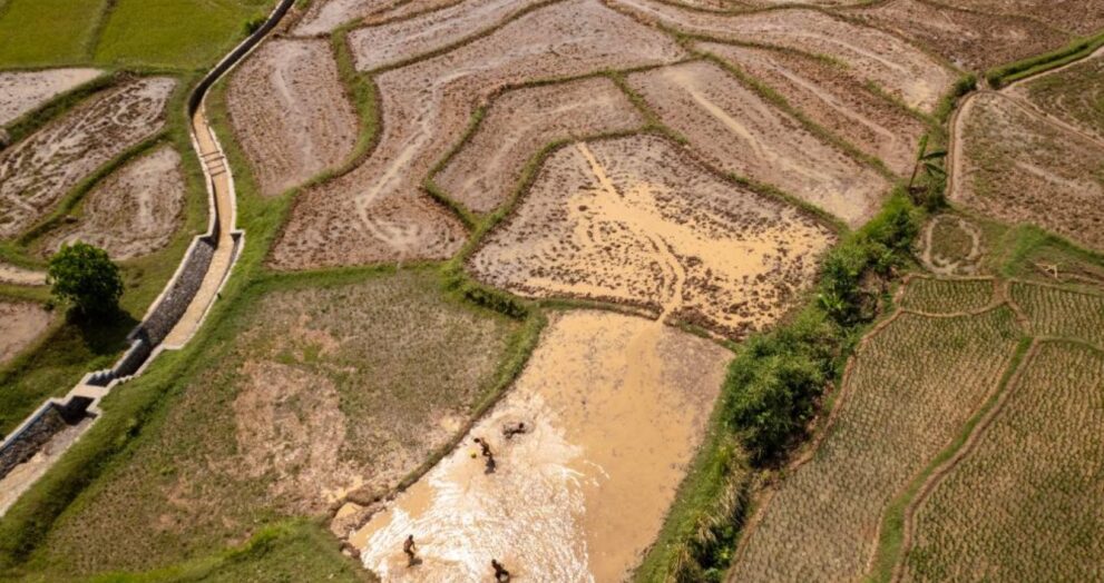 Food Production Growth Marks Milestone in Indonesia’s Self-Sufficiency Drive