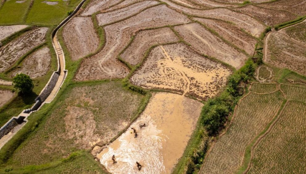 Food Production Growth Marks Milestone in Indonesia’s Self-Sufficiency Drive