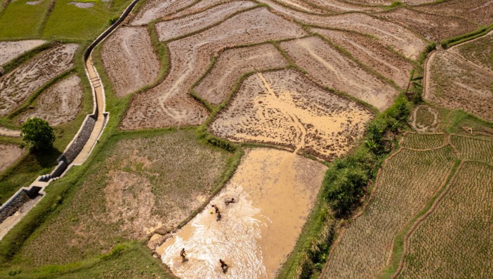 Food Production Growth Marks Milestone in Indonesia’s Self-Sufficiency Drive