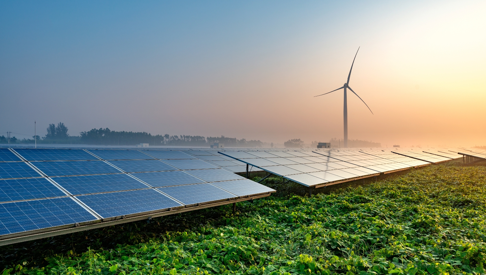 According to data released by the Ministry of New and Renewable Energy, India's solar power sector has reached a significant milestone, with cumulative installed capacity exceeding 123.13 GW.