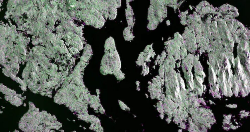 The NASA-ISRO Synthetic Aperture Radar (NISAR) satellite has reached a historic milestone by delivering its first radar images of Earth's surface, kicking off a new era of international space collaboration.