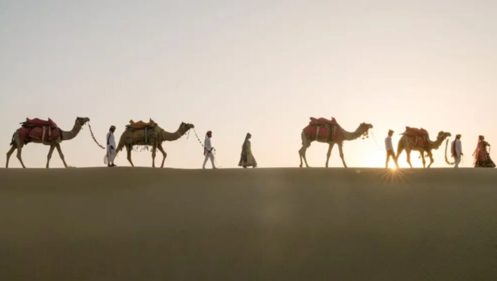 India has created the National Camel Sustainability Initiative (NCSI) to combat the alarming drop in camel numbers and revive their role in the country's ecosystem and rural economy.
