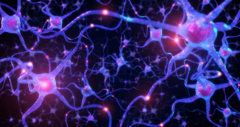Engineers at the University of Massachusetts created the first artificial neurons capable of communicating directly with living cells, marking a significant milestone.