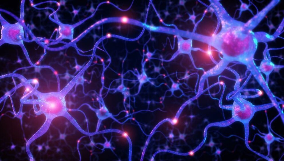 Engineers at the University of Massachusetts created the first artificial neurons capable of communicating directly with living cells, marking a significant milestone.