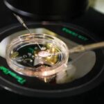 17-Year-Old Indian Swimmer Achieves Historic Feat in California Waters