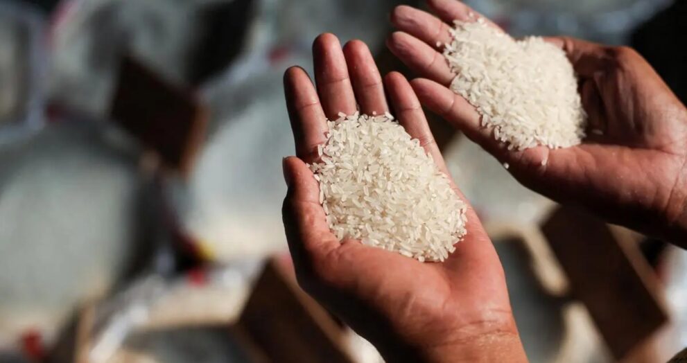 Mauritius hopes to establish a long-term rice supply agreement with India as part of its overall food security strategy.